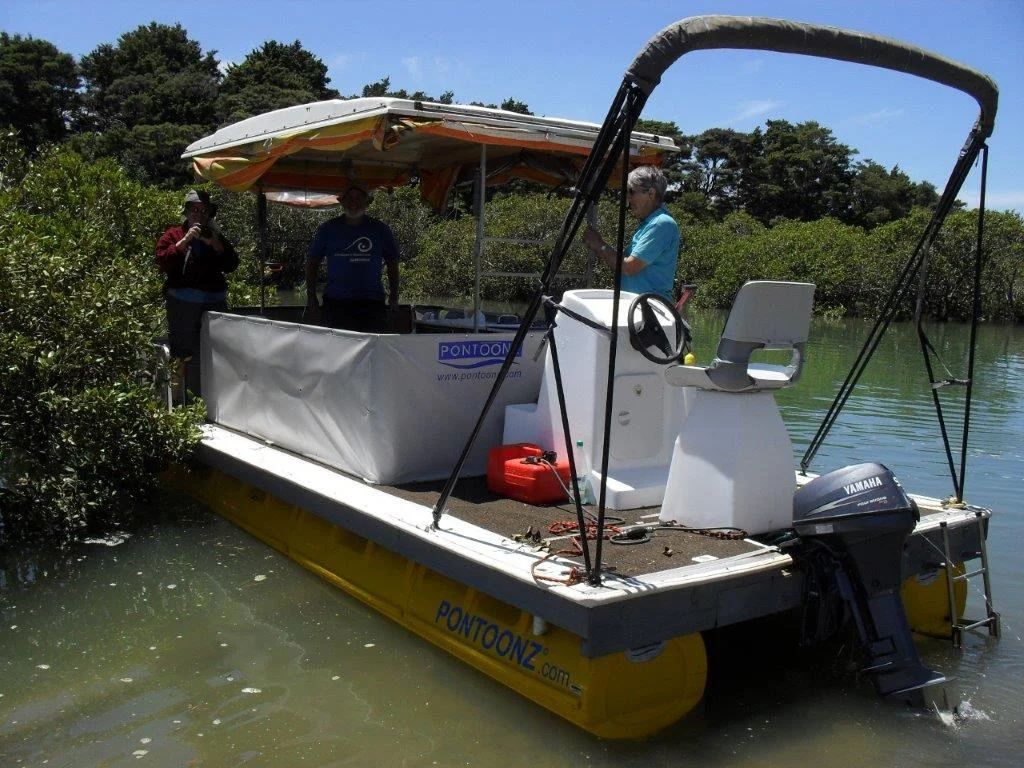 Pontoon boat with bimini